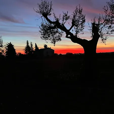 La Vignaiola * Torrevecchia Teatina